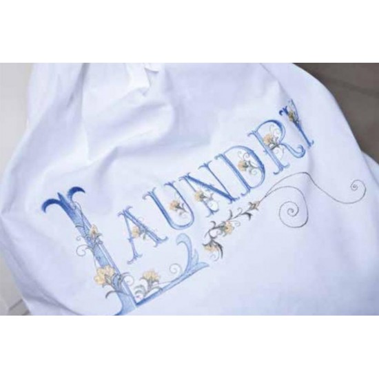 Brother Innov-is V3 LE Mašina za vez + prog. oprema PE Design Plus 2